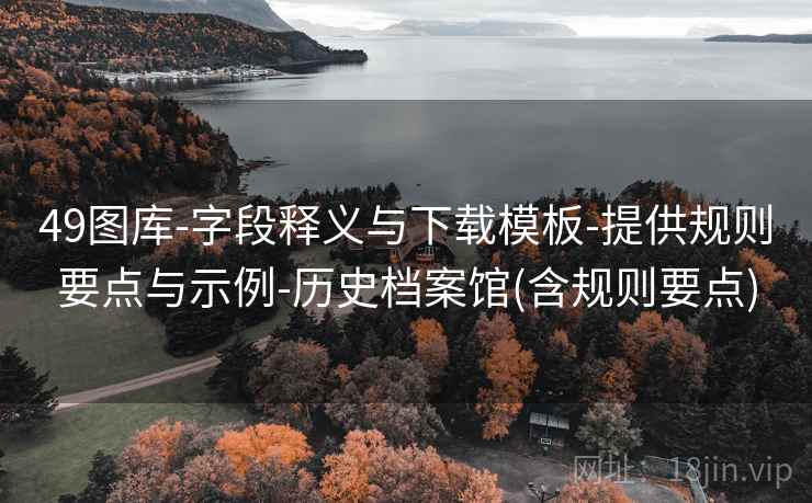 49图库-字段释义与下载模板-提供规则要点与示例-历史档案馆(含规则要点)