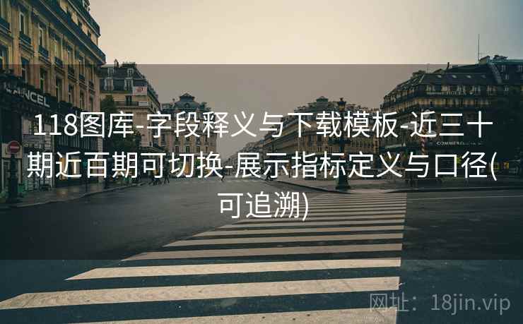 118图库-字段释义与下载模板-近三十期近百期可切换-展示指标定义与口径(可追溯)  第2张